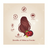 Hibiscus Powder 100g – Pure Natural Hair & Skin Care