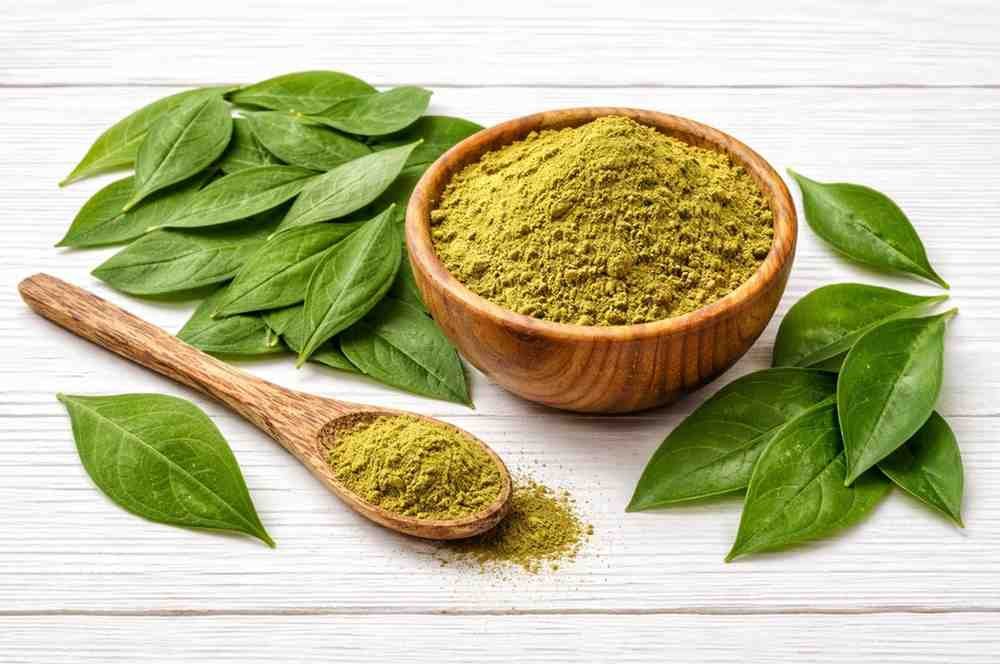 Herbal henna powder with fresh henna leaves for natural hair coloring