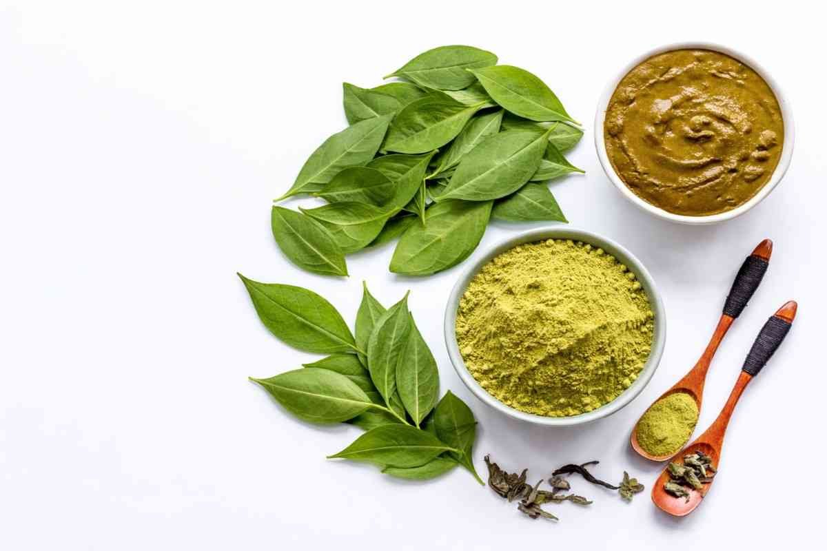 best henna for grey hair natural powder and leaves with herbal paste